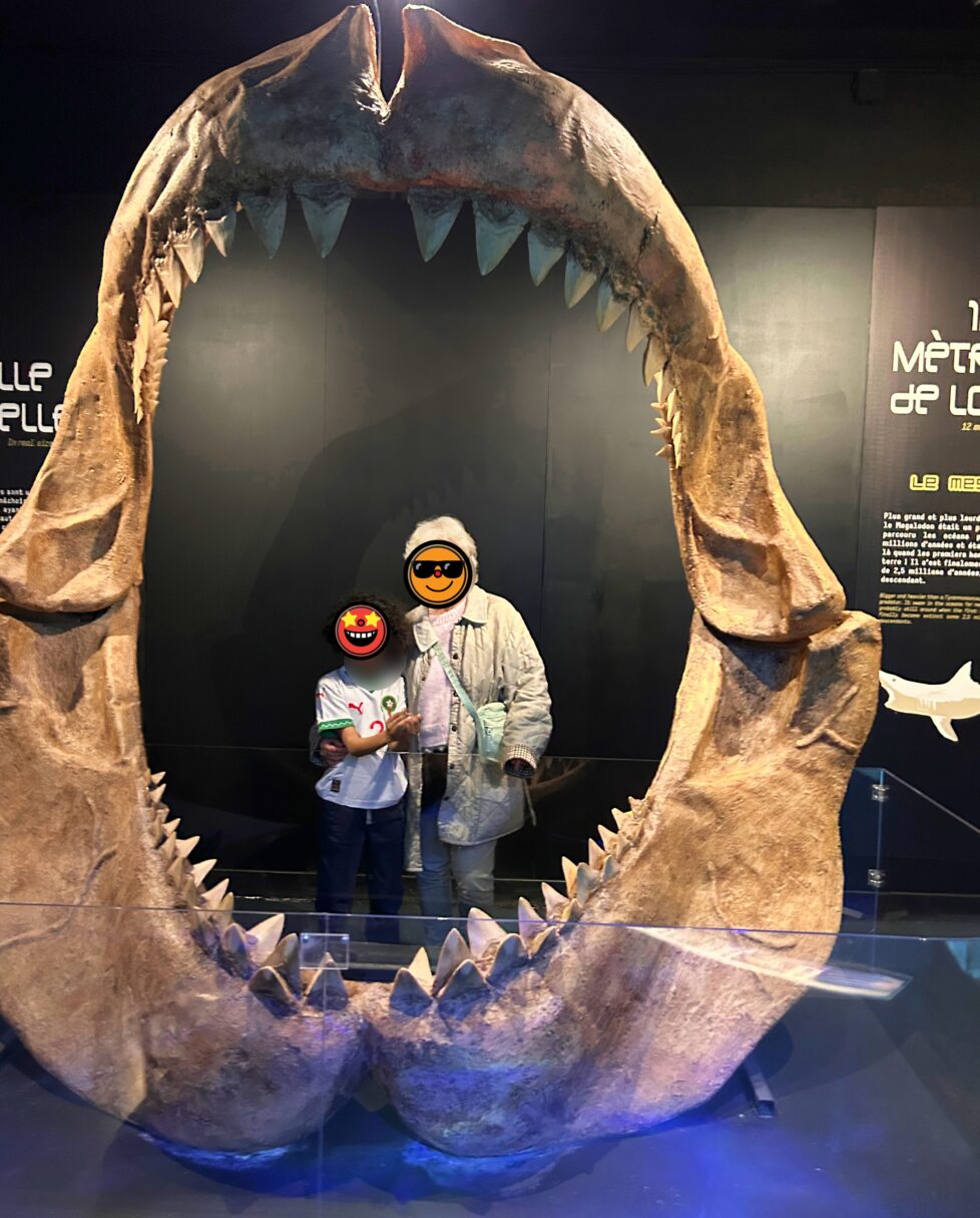 Reb Sea dents de la mer Rebellissime Familiy Seaquarium