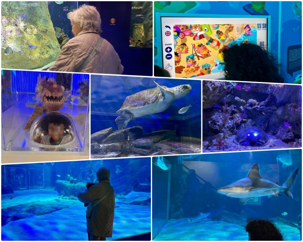 Reb collage divers pour l'article sur le Seaquarum dans le magazine Rebellissime 