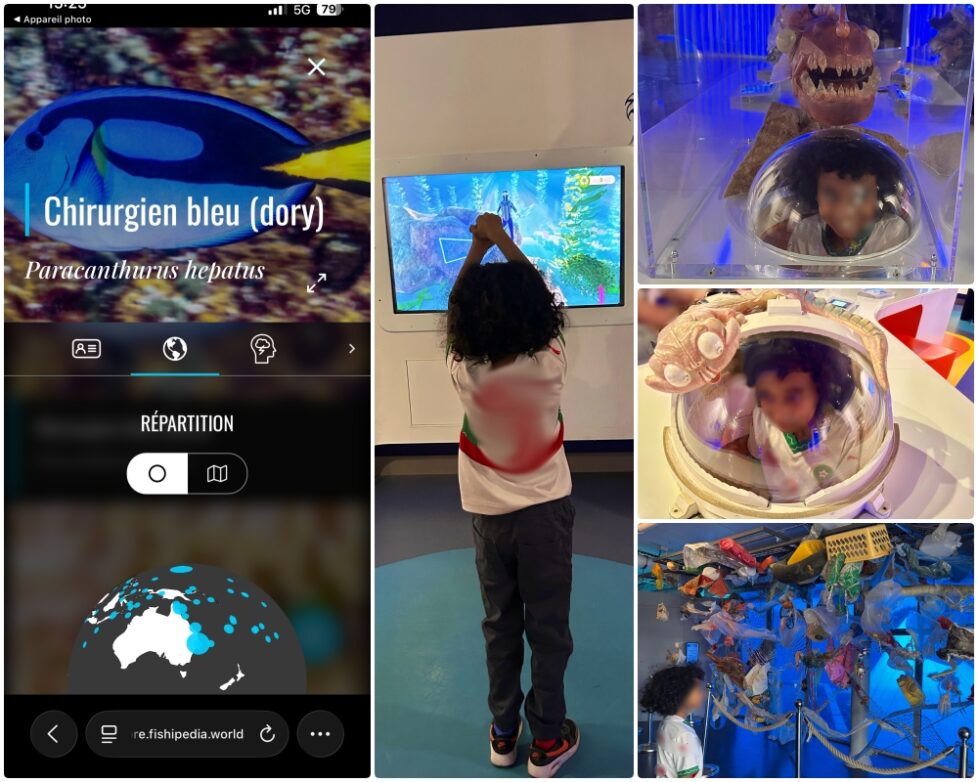 Reb collage enfant pedago visite du Seaquarium en famille 