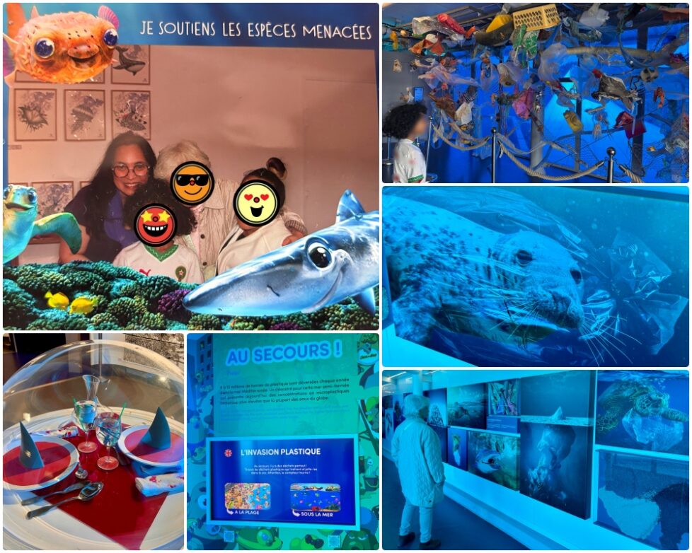 Reb collage Rebellissime Family engagée Saquarium