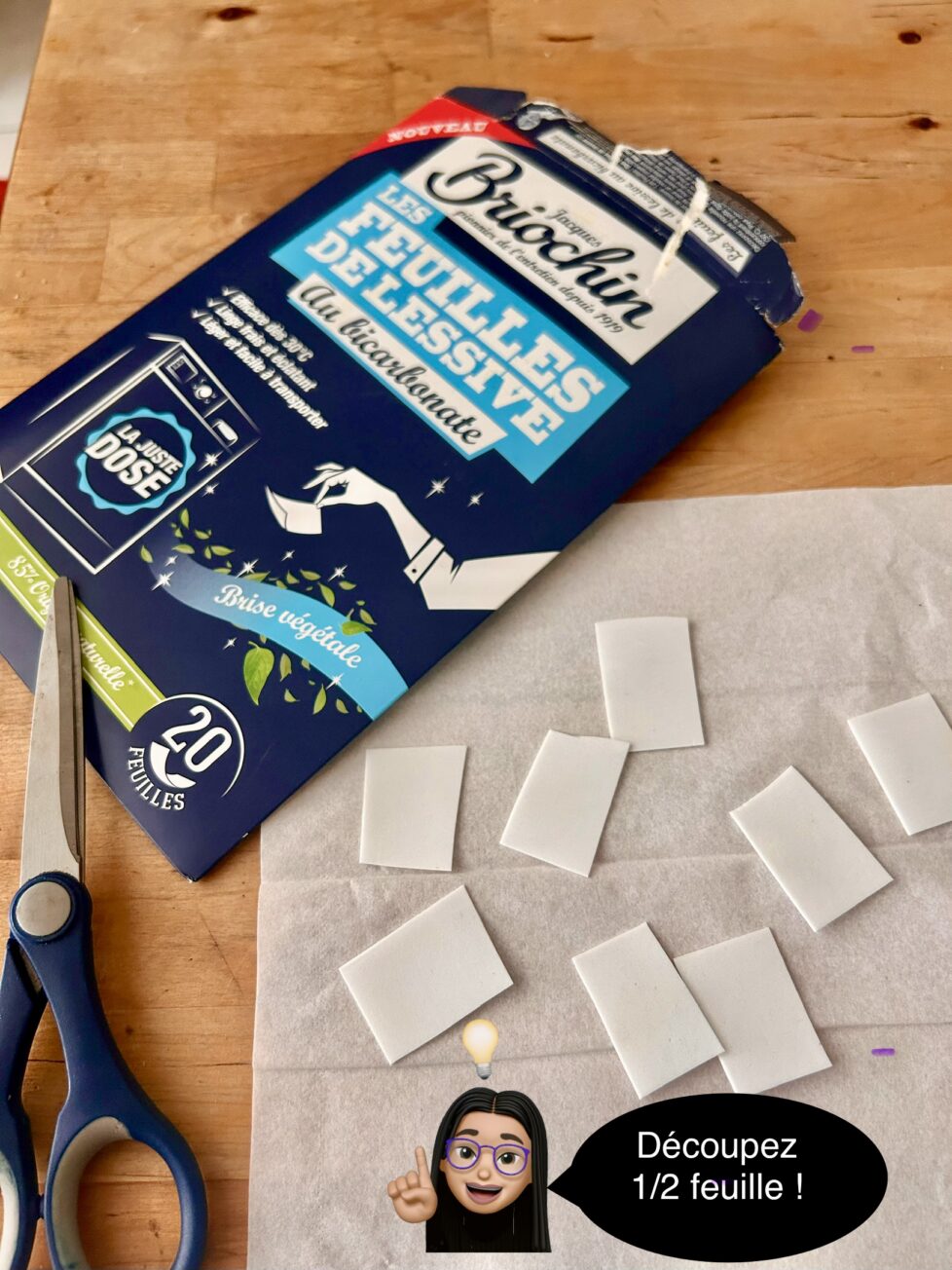 Reb Briochin lessive feuille astuce voyage par Virginie Legourd