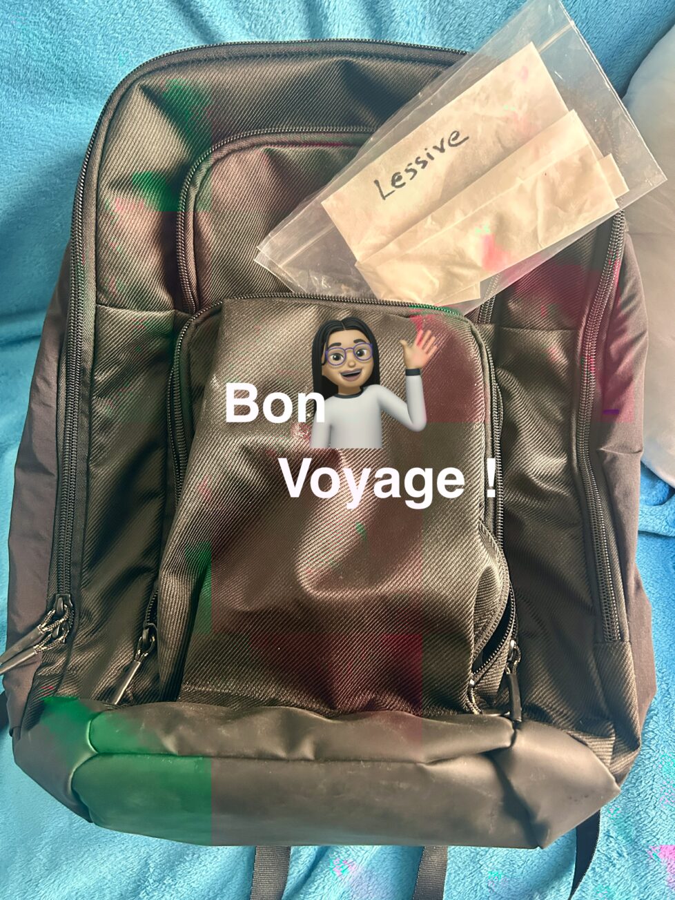 Reb astuce voyage lessive feuille Briochin par Virginie Legourd