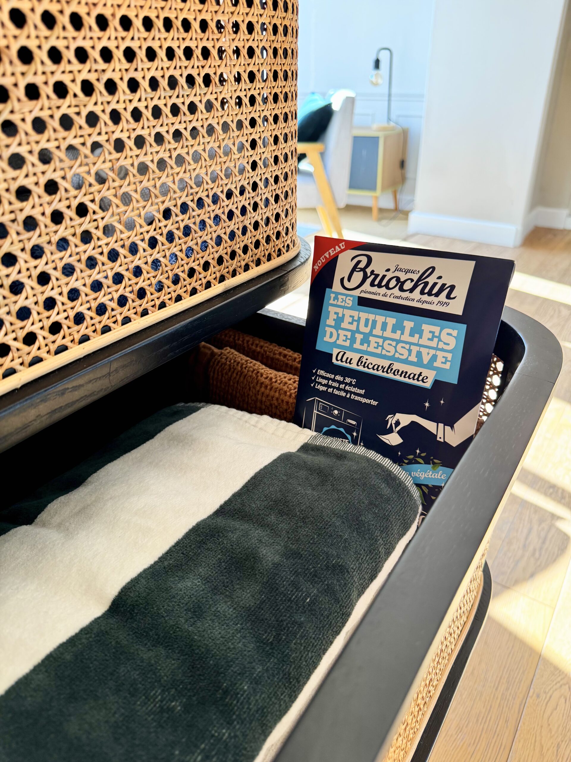 Reb ambiance lessive feuille Briochin photo ouverture
